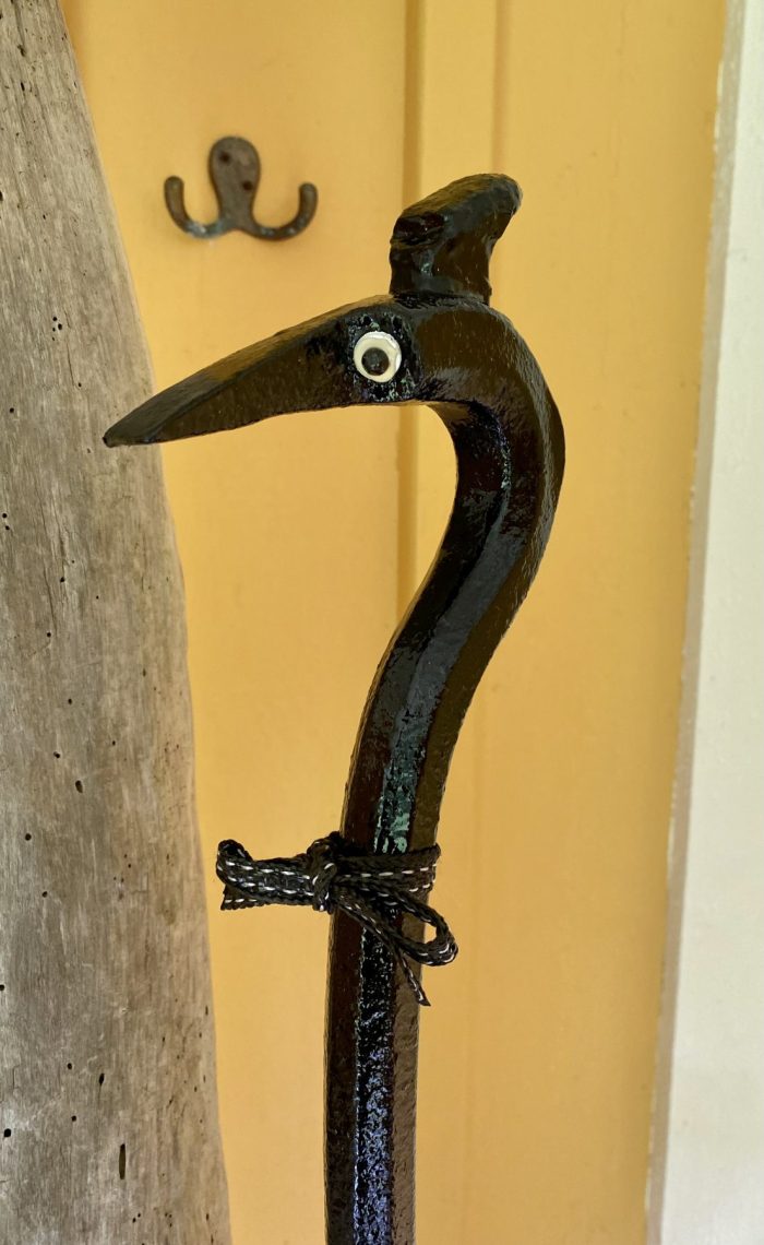 Credia Birdie